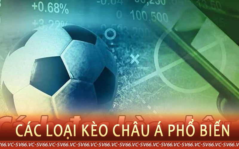 các loại kèo châu á sv66